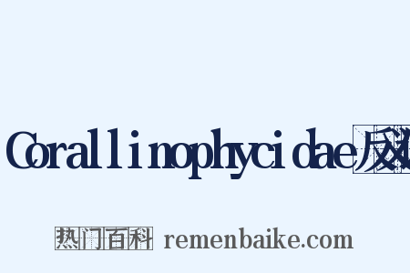 Corallinophycidae反义词是什么意思的图片